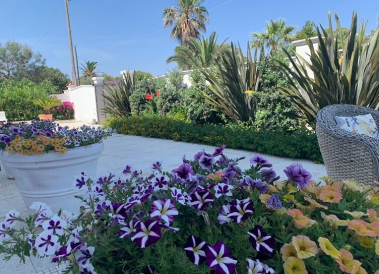 Villa Katy Salento Campomarino  エクステリア 写真